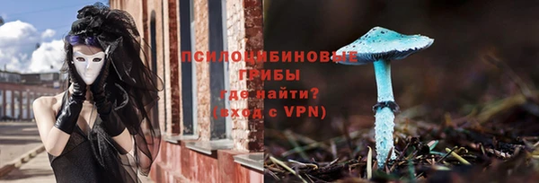 спайс Арсеньев