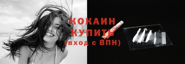 ПСИЛОЦИБИНОВЫЕ ГРИБЫ Карталы