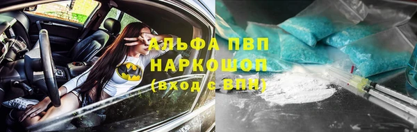 спайс Арсеньев