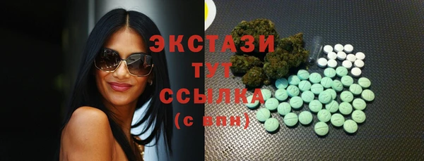 сатива Карпинск