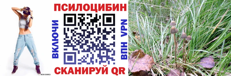 купить наркоту  Саки  МЕГА зеркало  Псилоцибиновые грибы Cubensis 